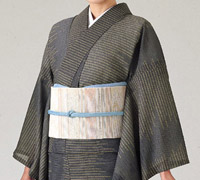 テイジンシルドール