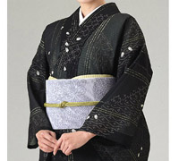 テイジンシルドール